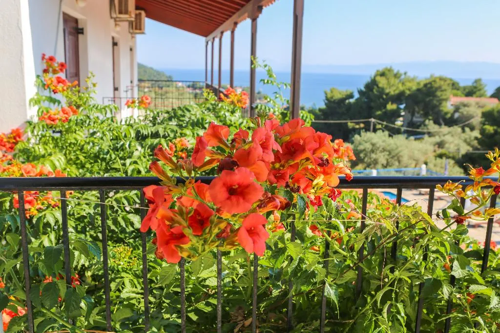 General view, Angelina Studios, Skiathos