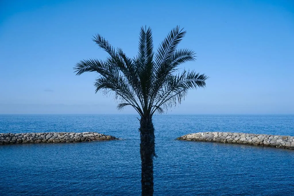 Beach, Saccharum Resort, Madeira