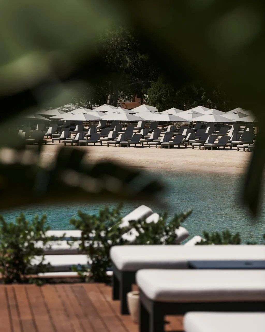 Pool, Maxx Royal Bodrum, Bodrum