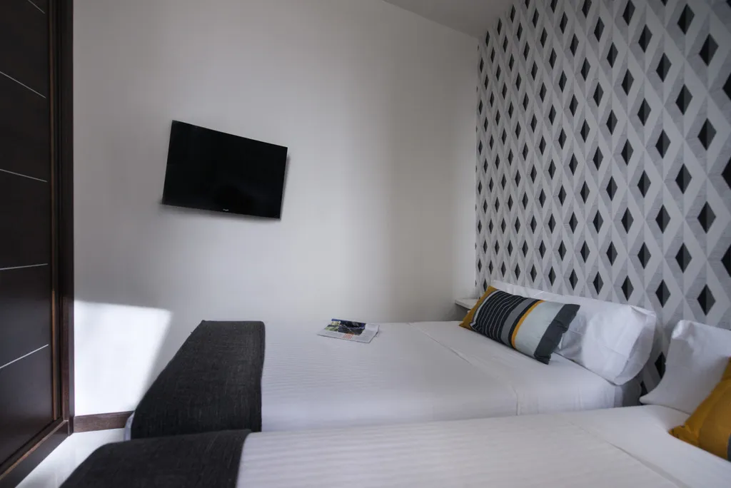 General view, Roisa Suites, Madrid