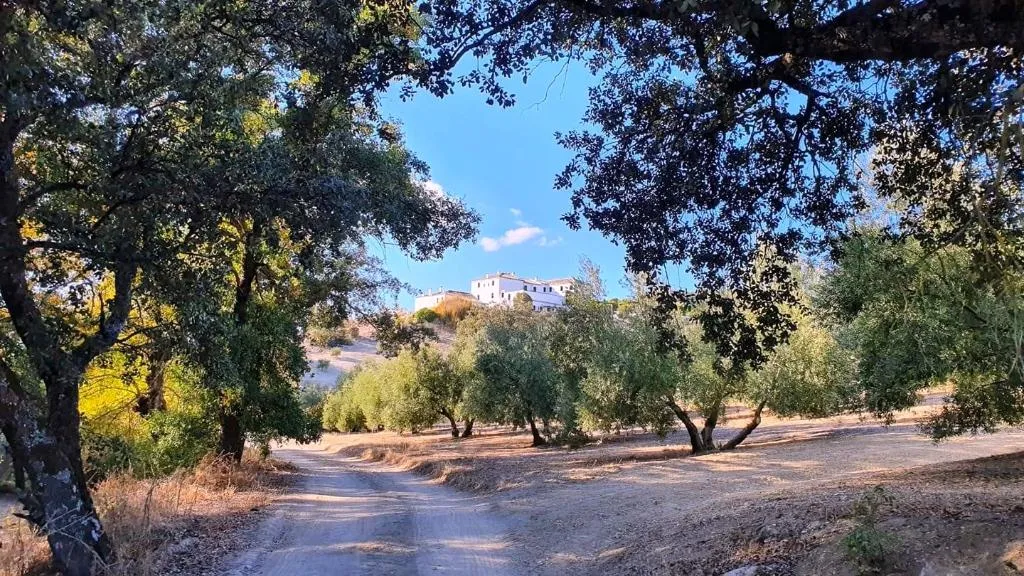 VILLA WITH PRIVATE POOL Room, Cortijo La Presa, Andalucia