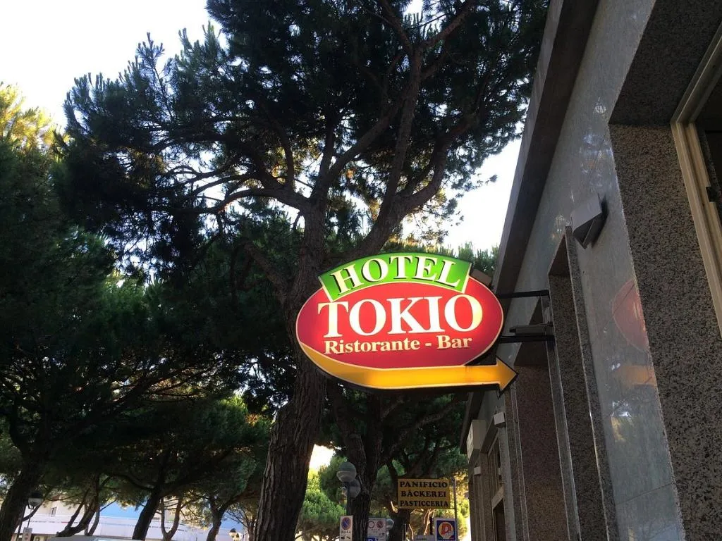 General view, Tokio, Venice