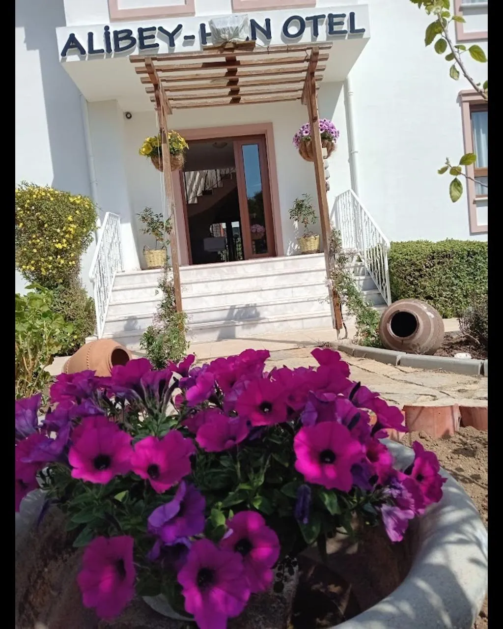 Lobby, Cunda Alibeyhan, Izmir