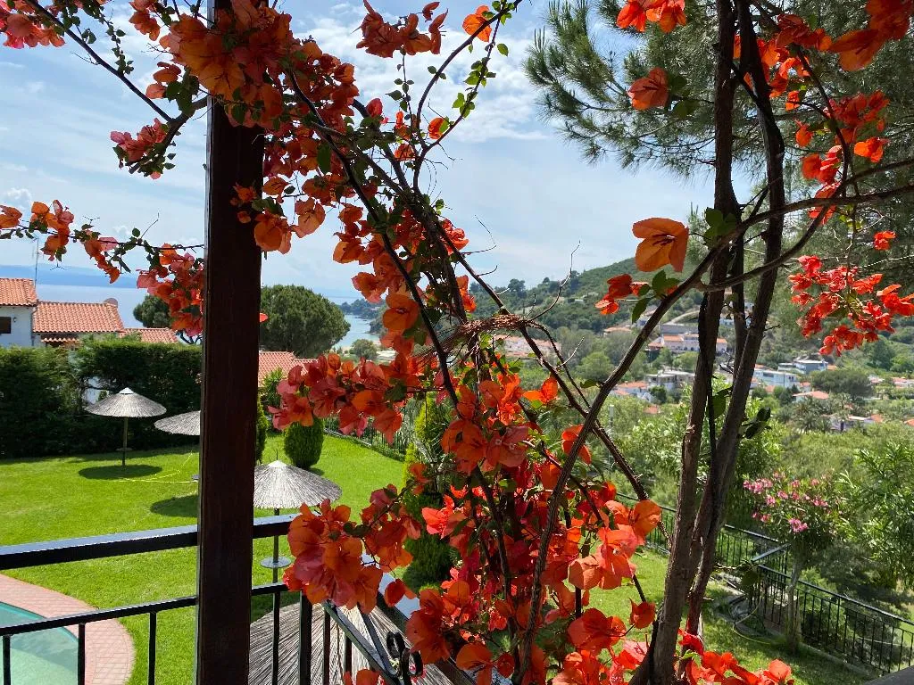 General view, Villa Xanthippi, Skiathos