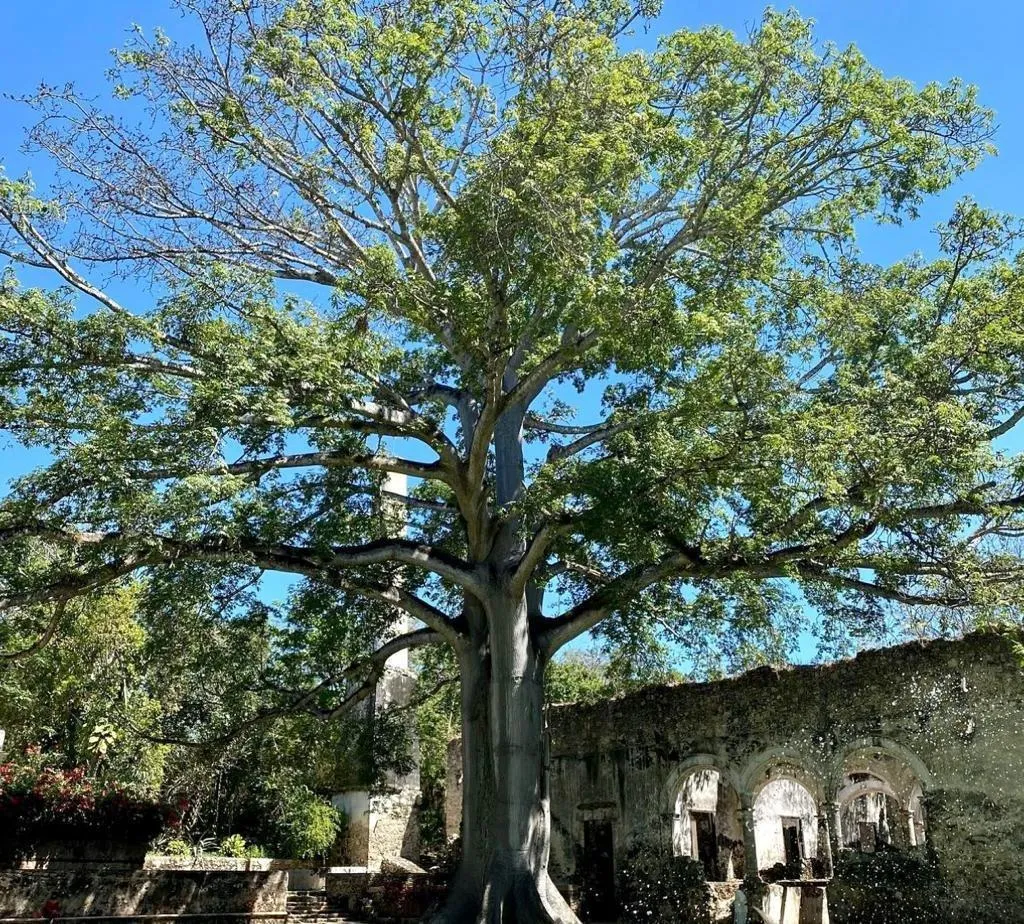 General view, Hacienda Uayamon, Cancun Area