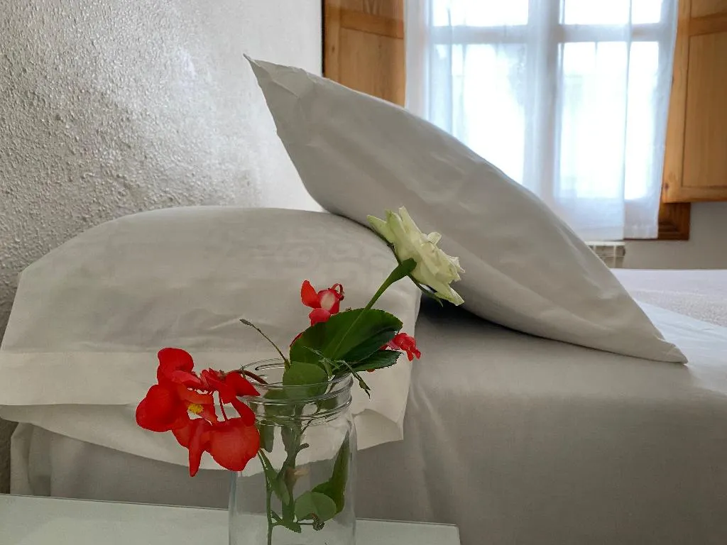 DOUBLE STANDARD Room, Moscatel Hostal, Costa Del Sol