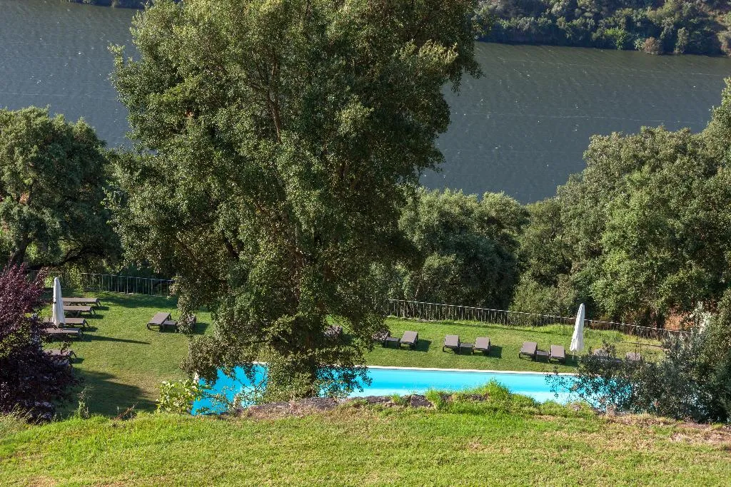 Pool, Douro Palace, Porto