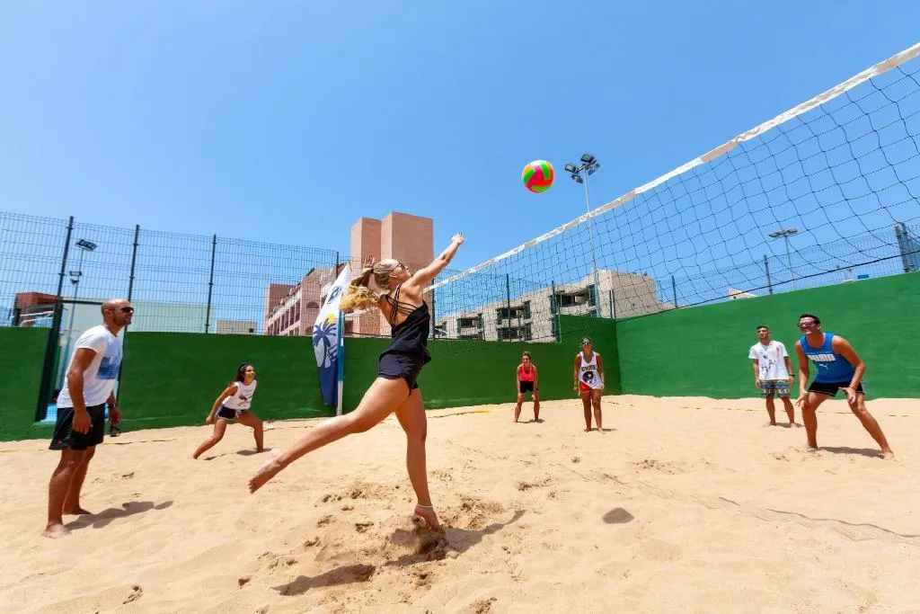 Sports and Entertainment, Best Jacaranda, Tenerife