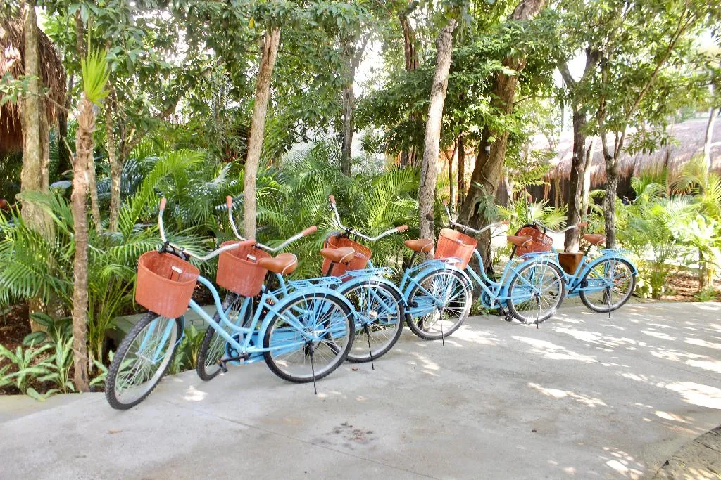 Sports and Entertainment, Aluna Resort Tulum, Cancun Area