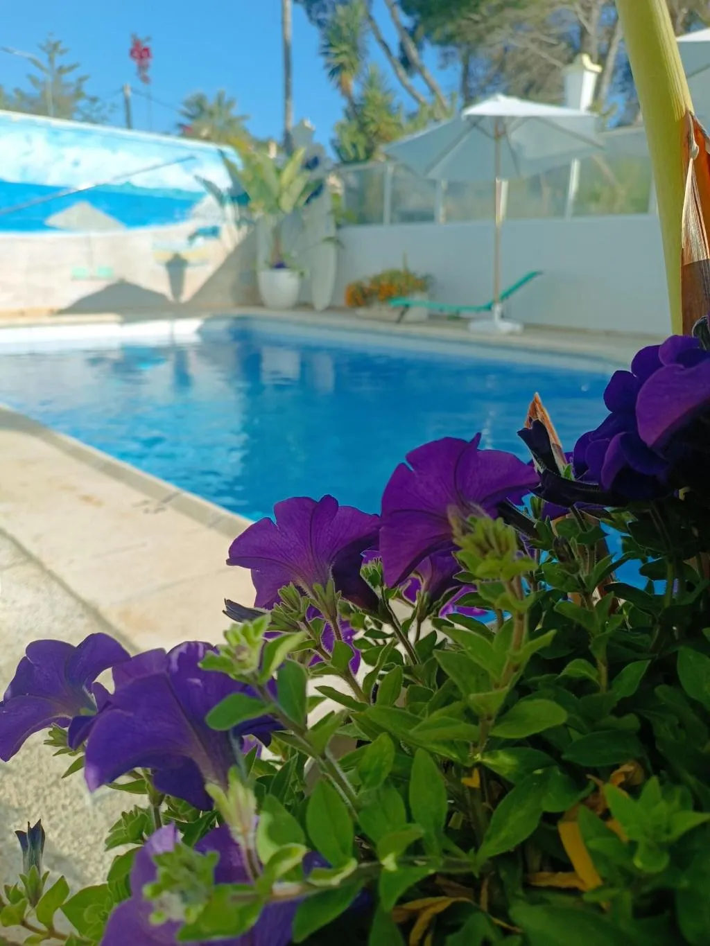 Room, Hostal Orsi, Majorca