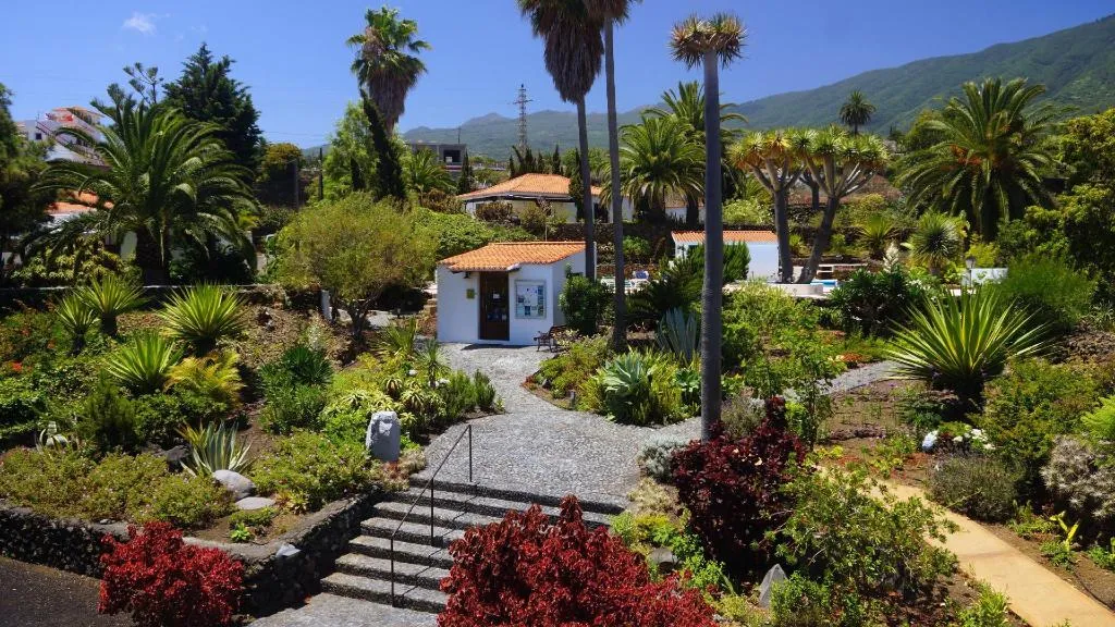 Lobby, Apartamentos Miranda, La Palma