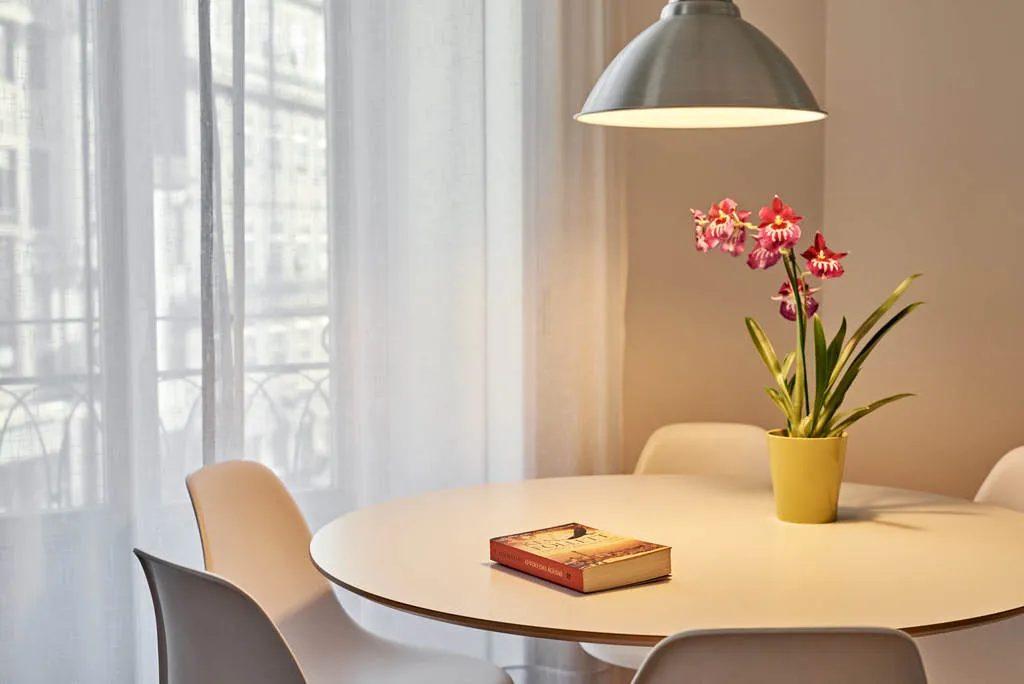 APARTMENT CAPACITY 2 Room, Apartments Ponte Nova, Porto