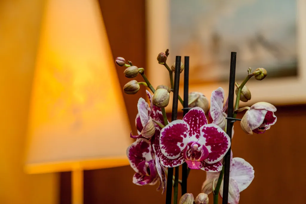 Lobby, La Vecchia Fonte Hotel, Olbia