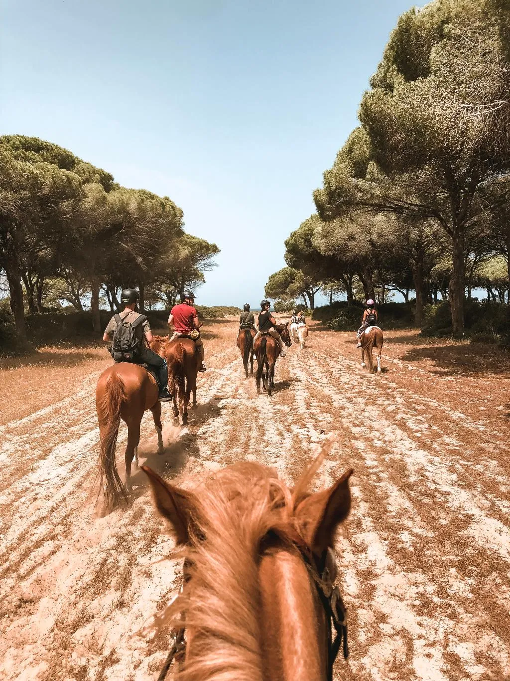 General view, Horse Country Resort Congress & Spa, Cagliari