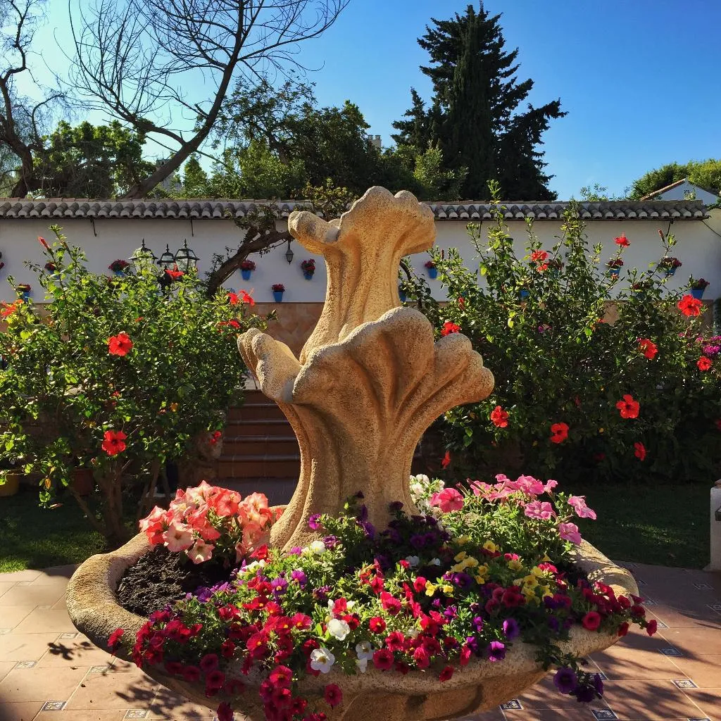 Terrace, Carmen Teresa, Costa Del Sol