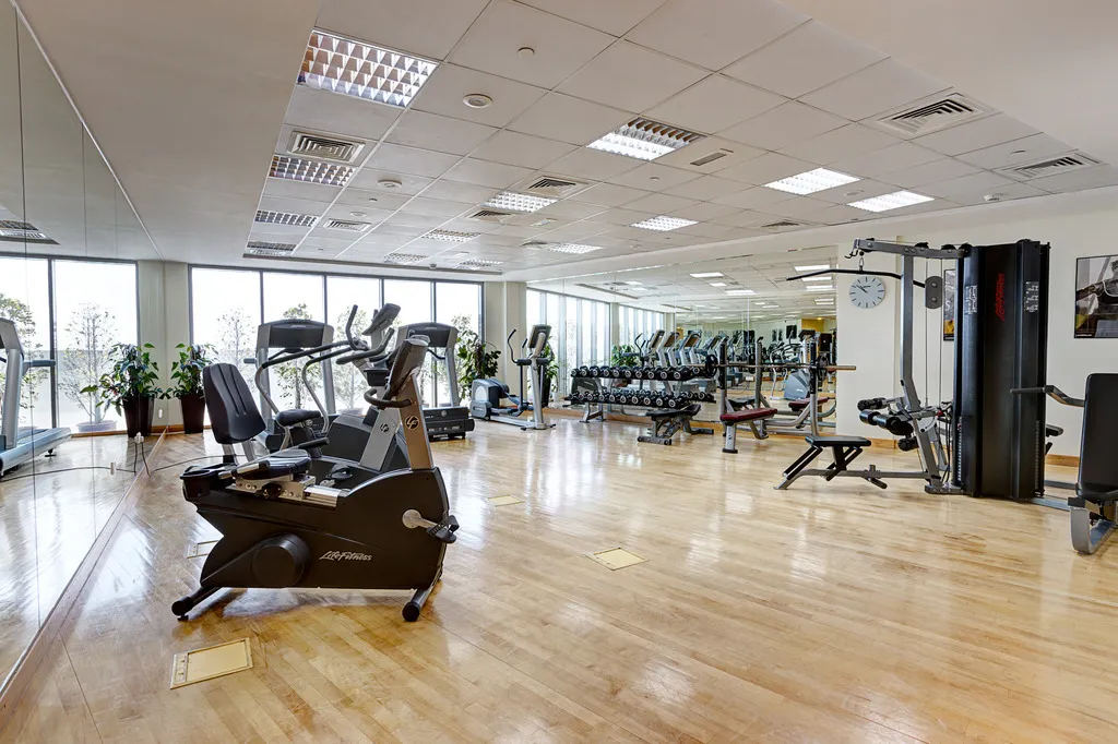 Sports and Entertainment, Icon Delux Hotel Apartments, Dubai