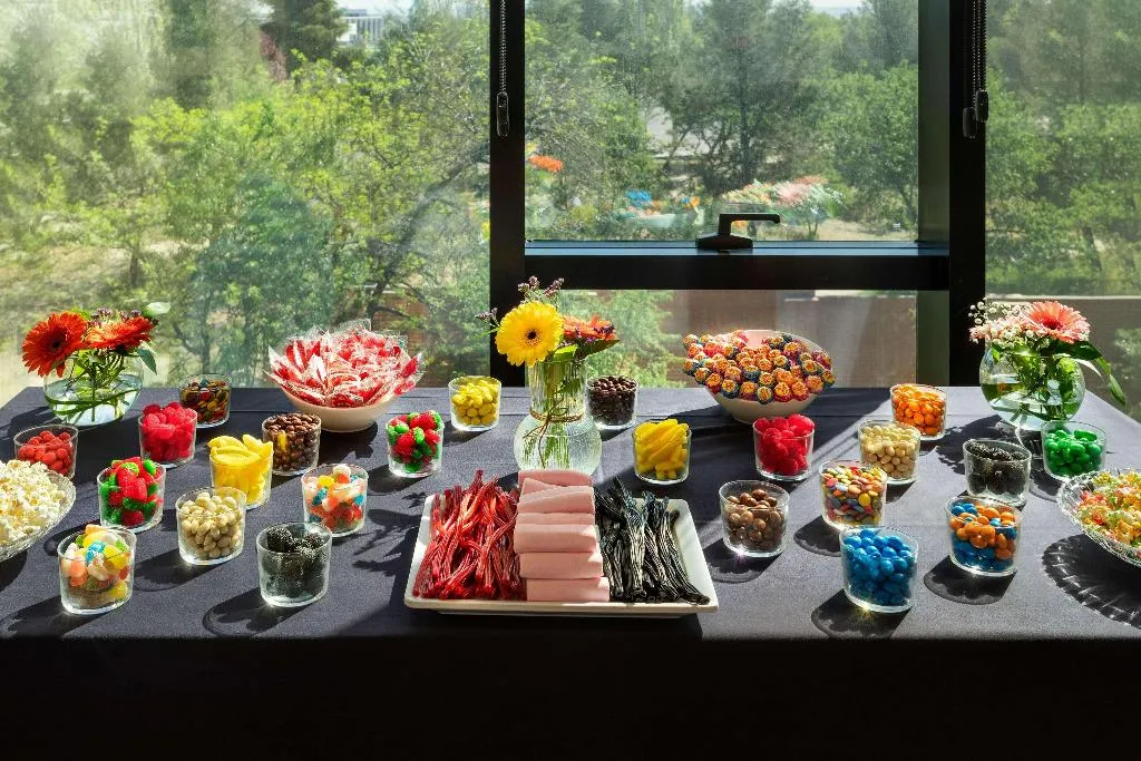 Conferences, Melia Avenida America, Madrid