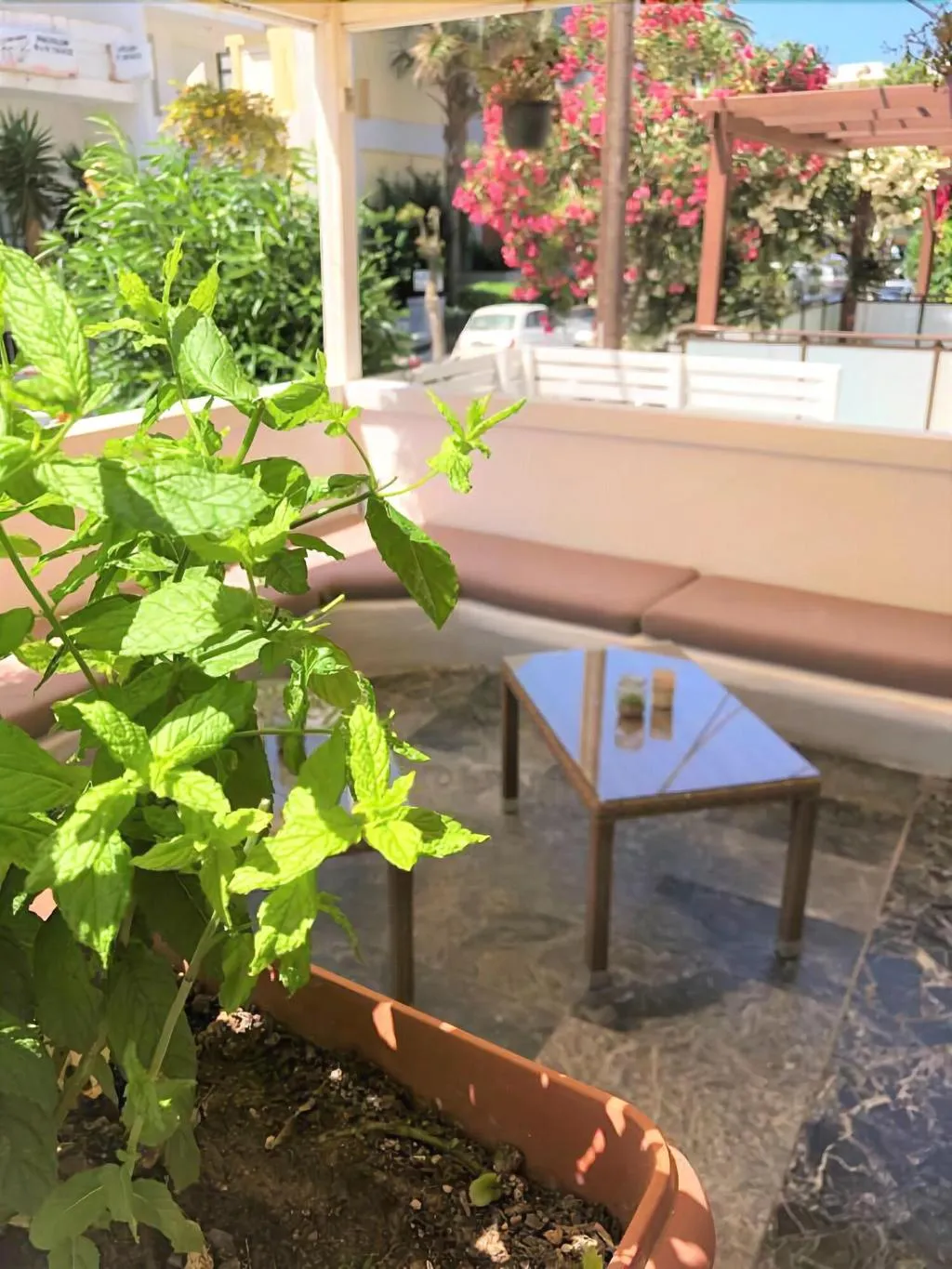 Terrace, Mimosa Suites Hotel, Rhodes