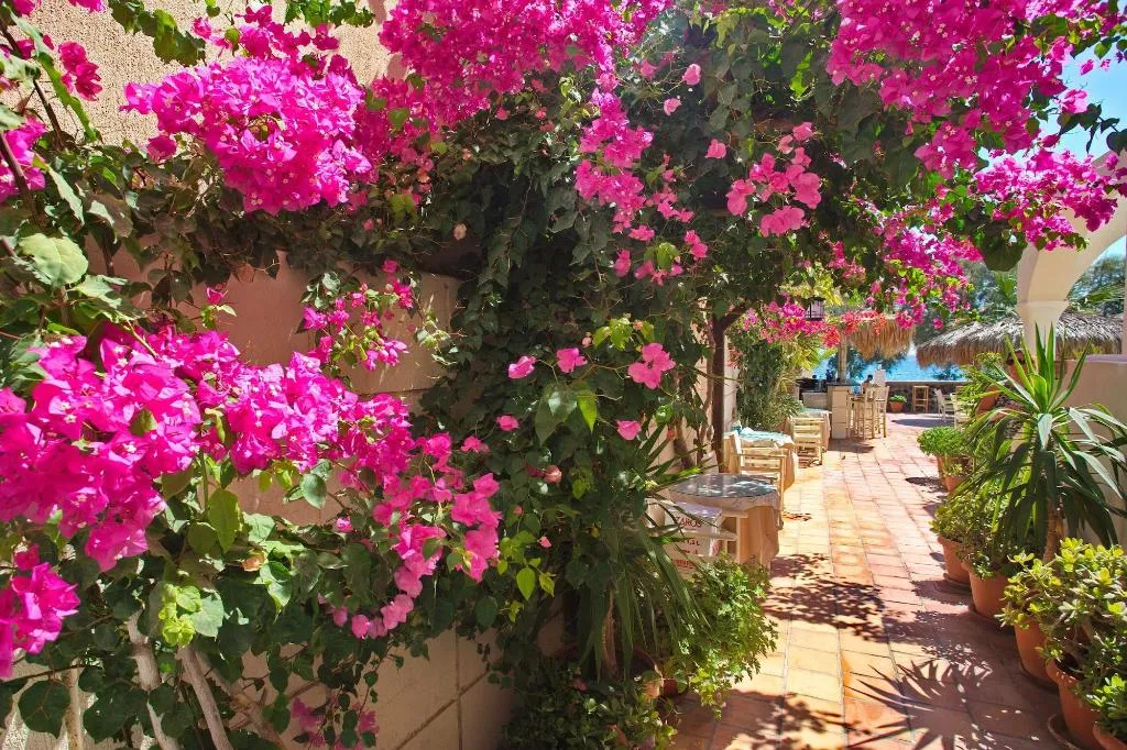Lobby, The Boathouse Hotel, Santorini
