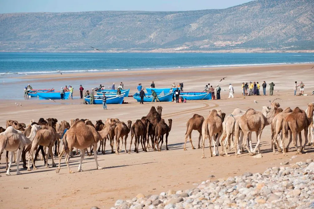 Beach, Paradis Plage Surf Yoga & Spa Resort, Agadir