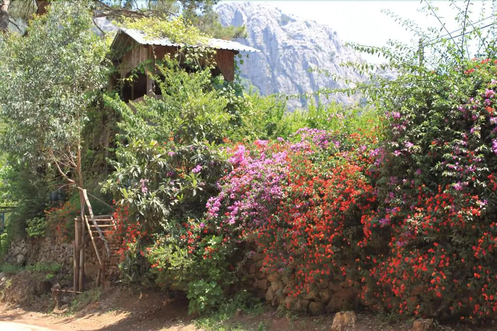 General view, Camlik Pansiyon, Antalya