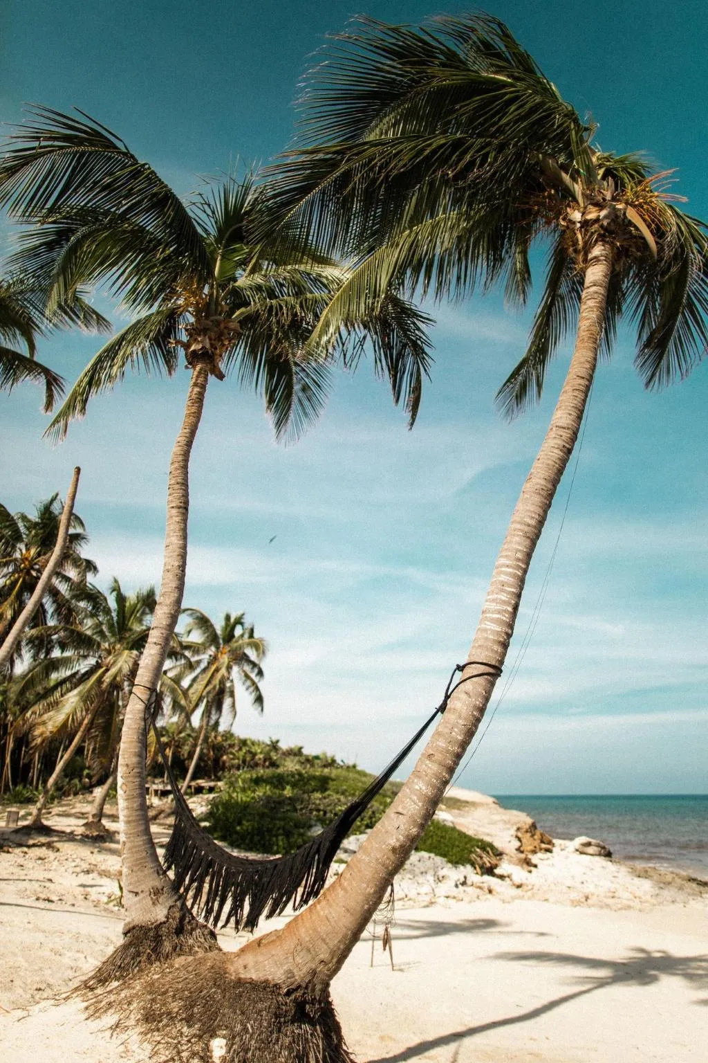 General view, Our Habitas Tulum - Adults Only, Cancun Area