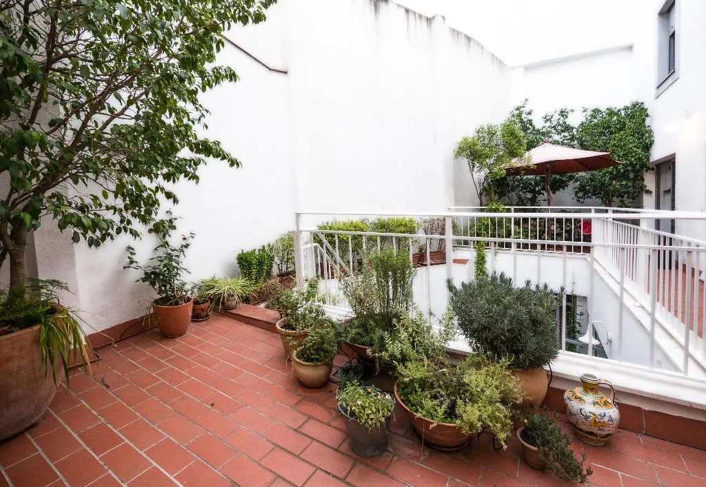 Terrace, Plaza Santa Lucia, Seville