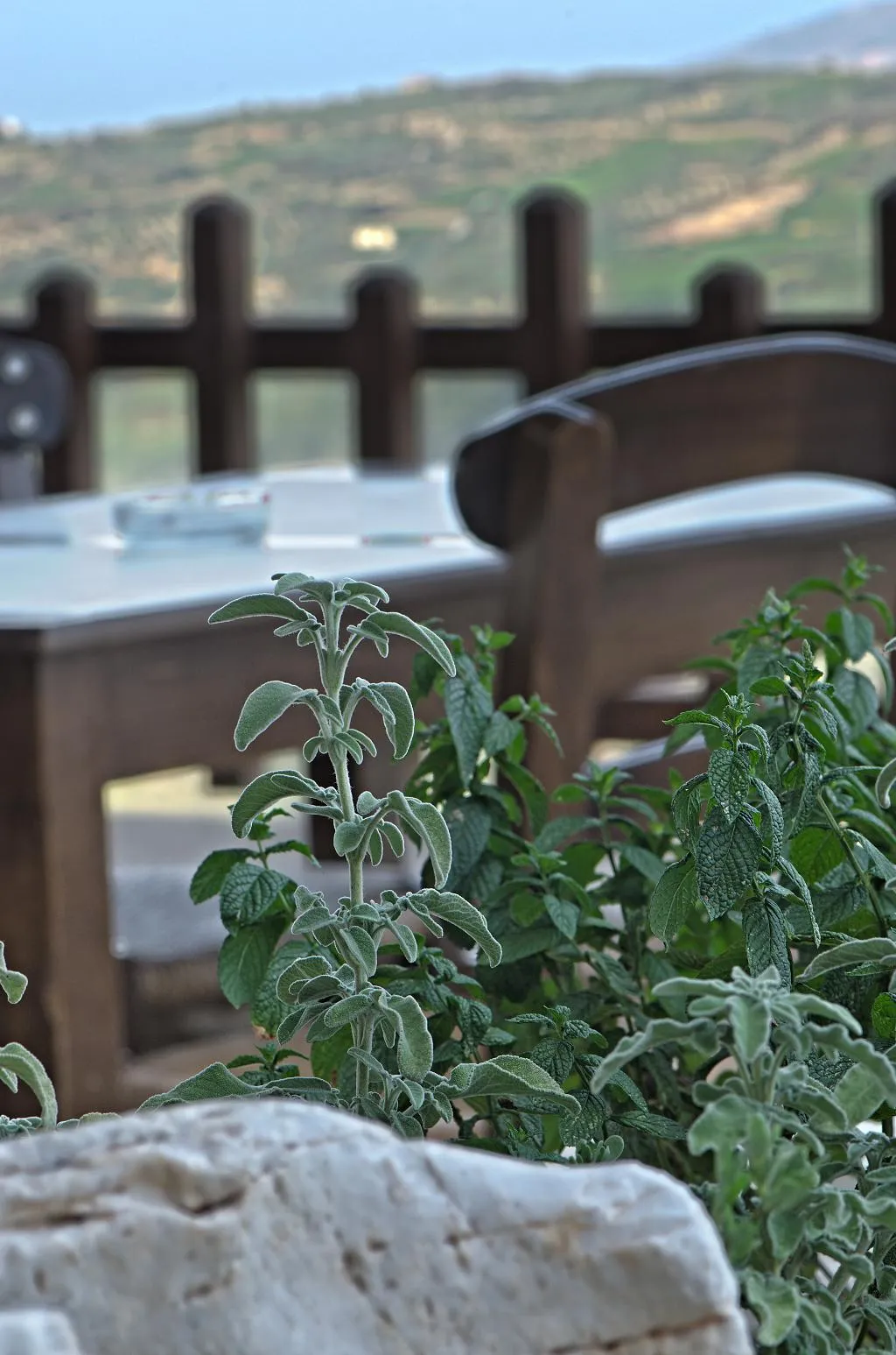 Terrace, Earino, Crete
