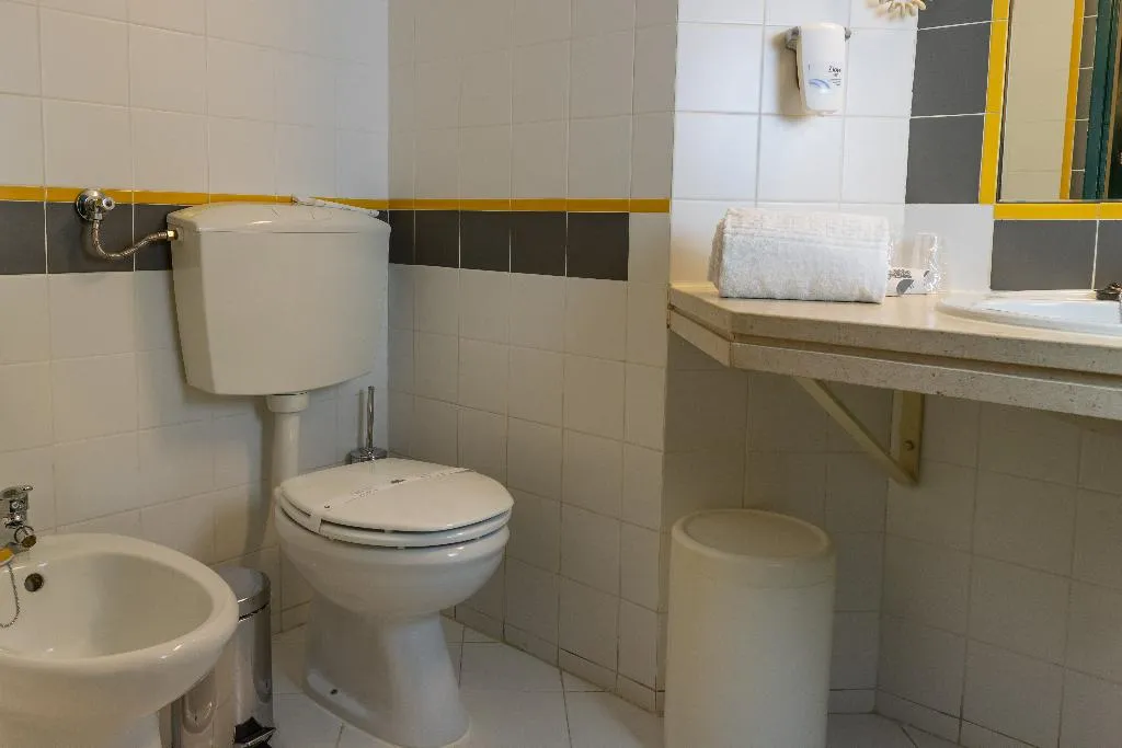 DOUBLE SINGLE USE SUPERIOR Room, Flag Hotel Braga, Porto