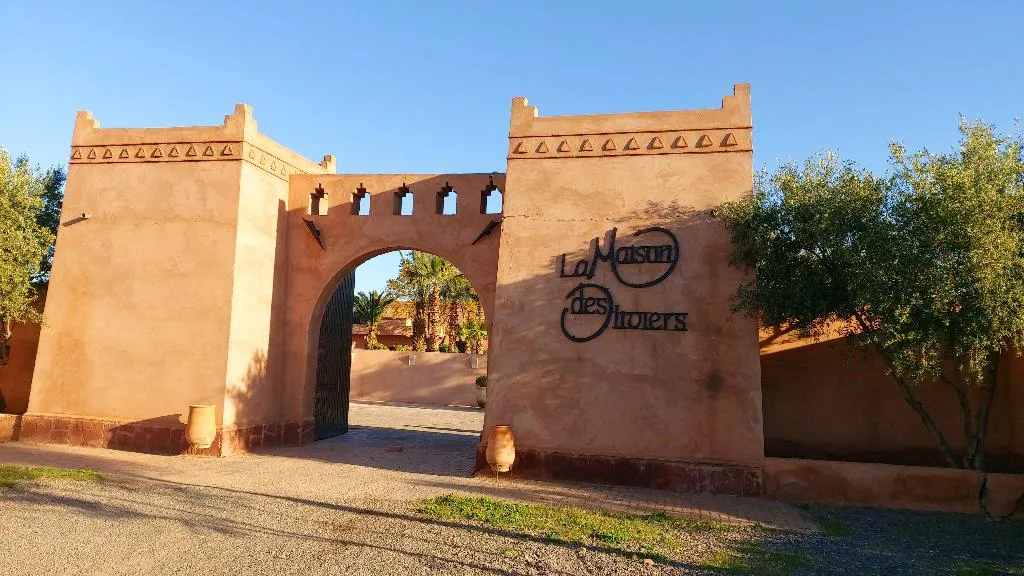 General view, Riad La Maison des Oliviers, Marrakech