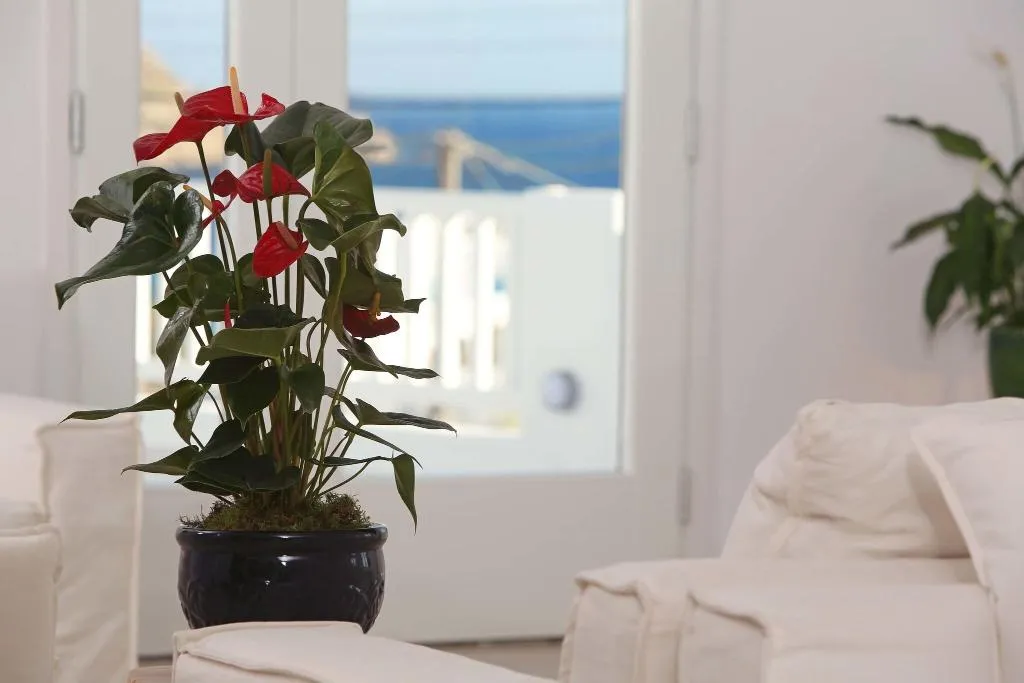 Lobby, The George Hotel, Mykonos