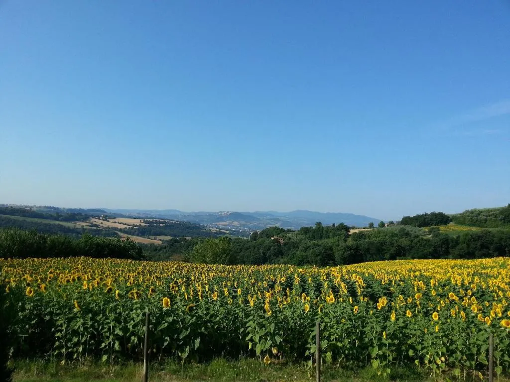 General view, Agriturismo Il Borghetto, Perugia