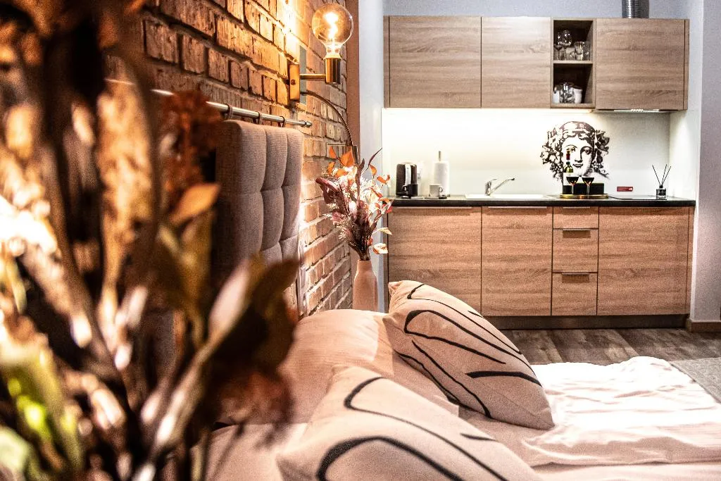 STUDIO DELUXE Room, Wine Apartments, Krakow