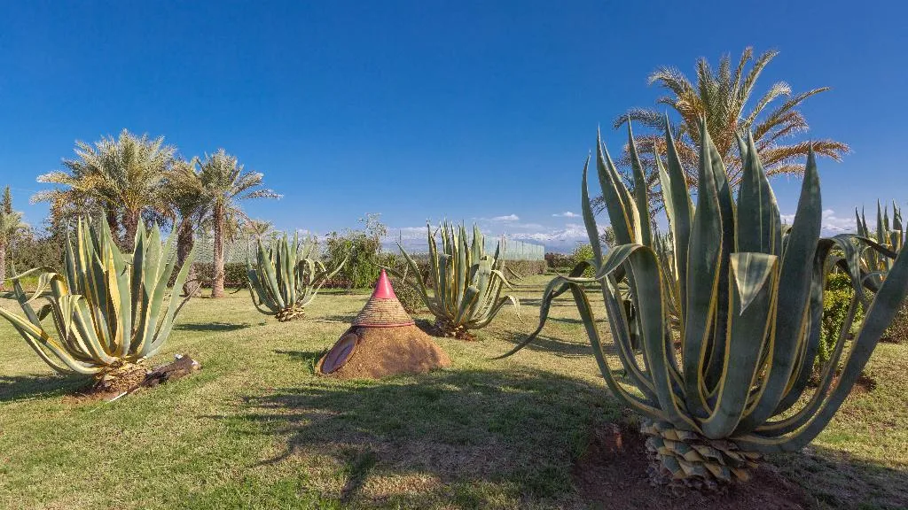 General view, L'oliveraie de L'atlas, Marrakech