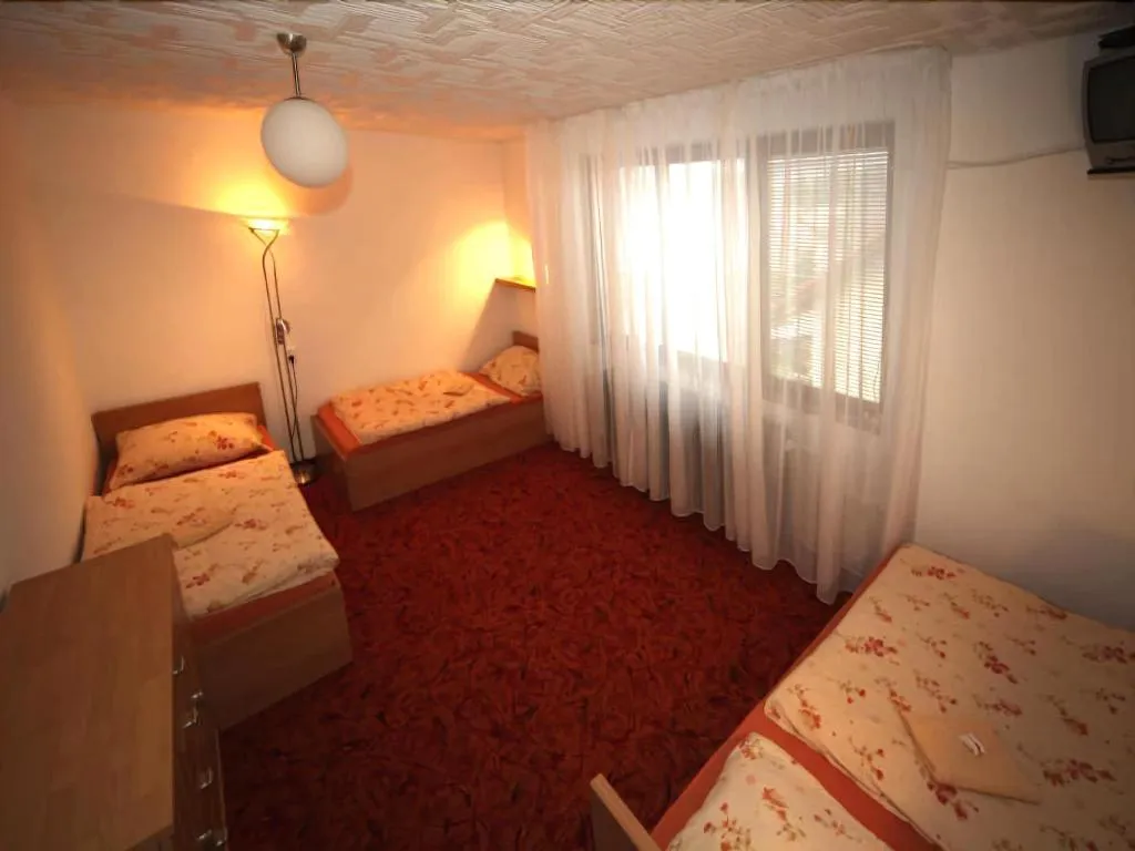 Room, Penzion V Roklích, Prague