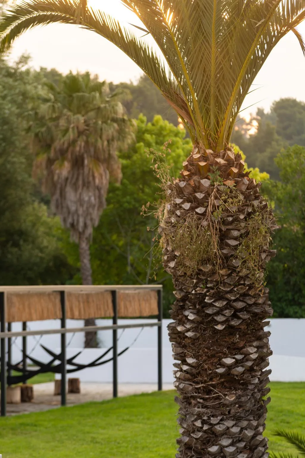 Terrace, Kassandra Palace SeaSide Resort, Halkidiki