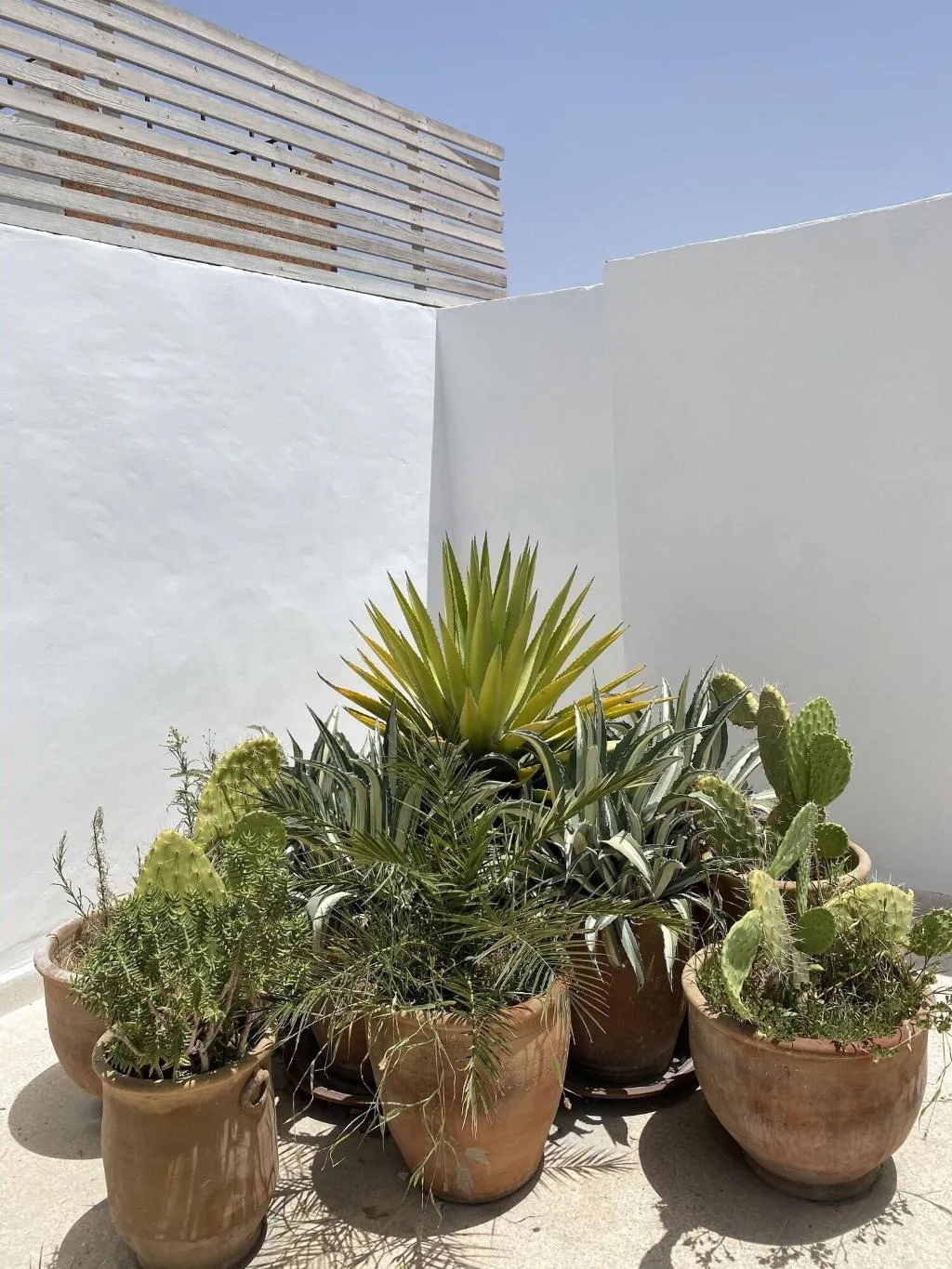 Room, Riad Z, Marrakech