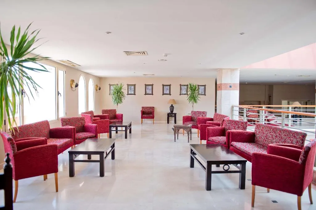 Bar, Amphoras Aqua, Red Sea Riviera