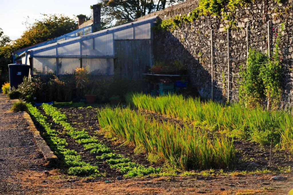 General view, Ballymaloe House, Cork