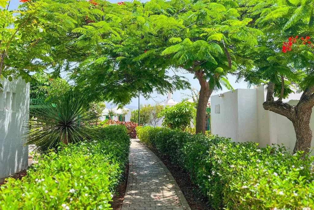General view, Bungalows Cordial Sandy Golf, Gran Canaria