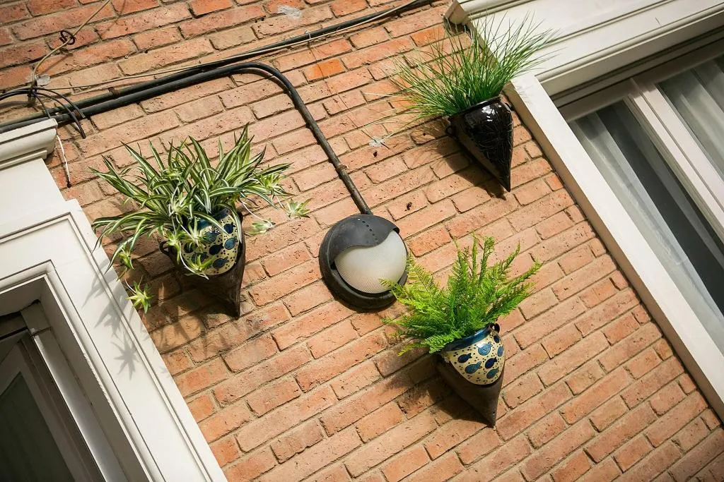Terrace, Blanc Guesthouse, Barcelona