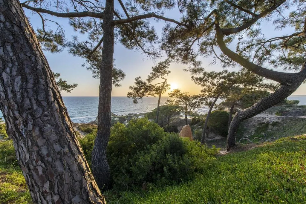 General view, W Residences Algarve, Algarve