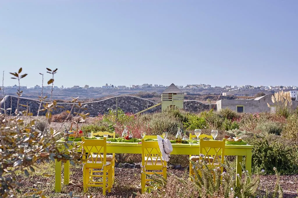 Bar, Villa Agrikoia, Santorini