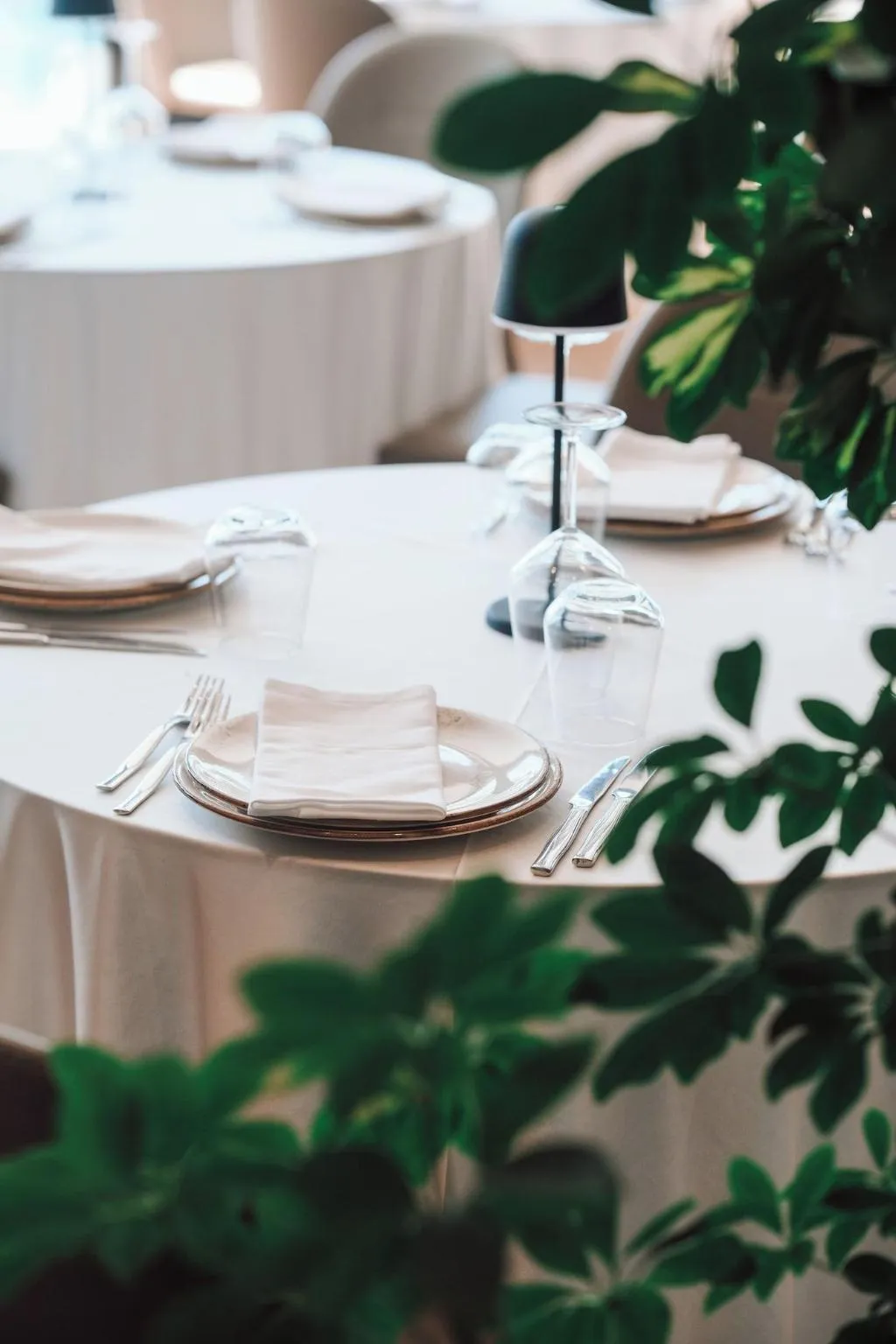 Restaurant, Vm Resort Spa, Kavaje