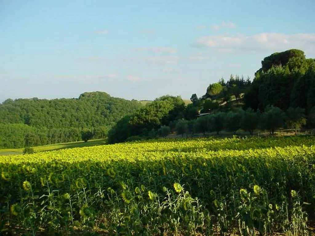 General view, Podere Caldaruccio La Pineta, Perugia