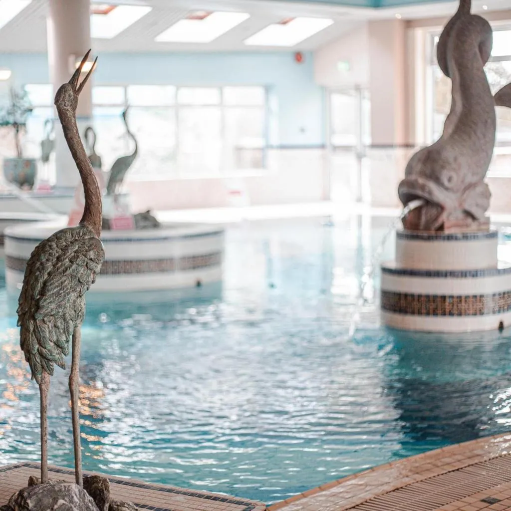 Pool, Westlodge Hotel, Cork