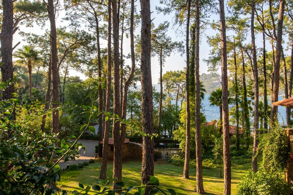 SUITE SUPERIOR CAPACITY 4 Room, Marmaris Bay Resort Adult Only 16+, Dalaman