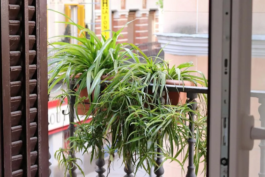 Room, Hostal La Zona, Madrid