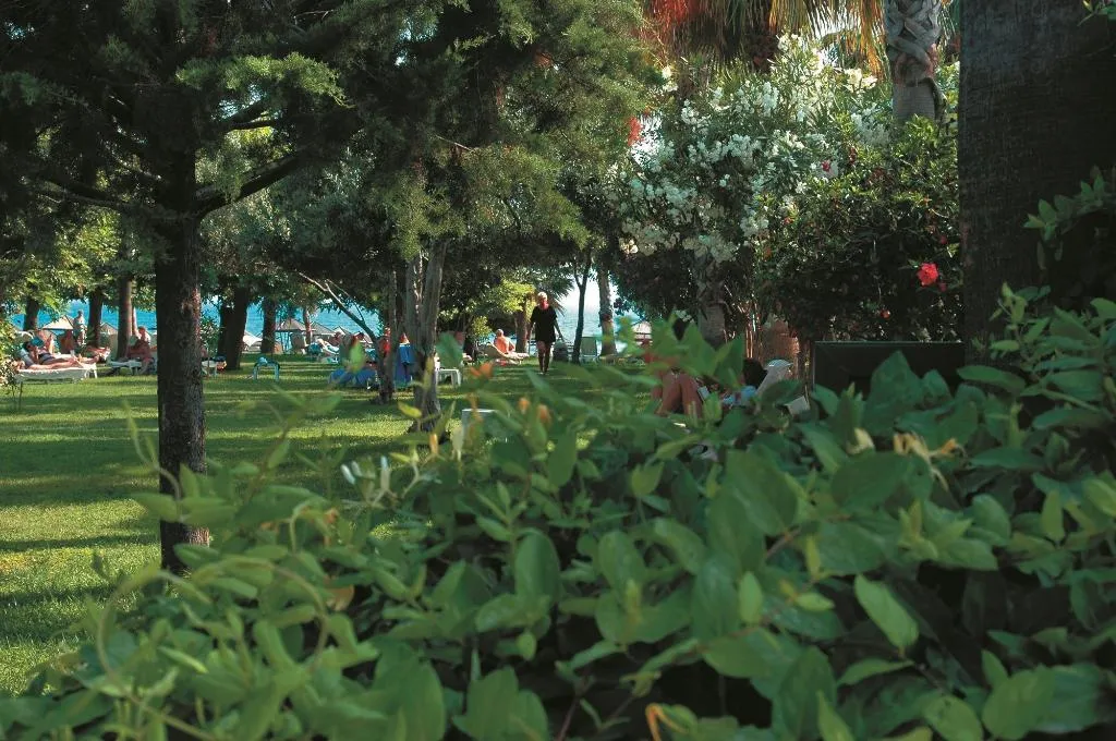 Terrace, Defne Ana, Antalya