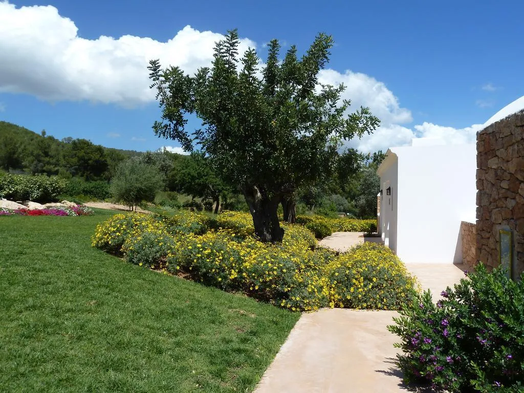 General view, Casa Maca (Es Trull de Can Palau), Ibiza